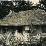 img025