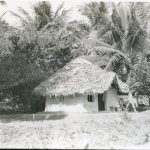 img028