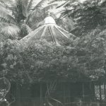 img048